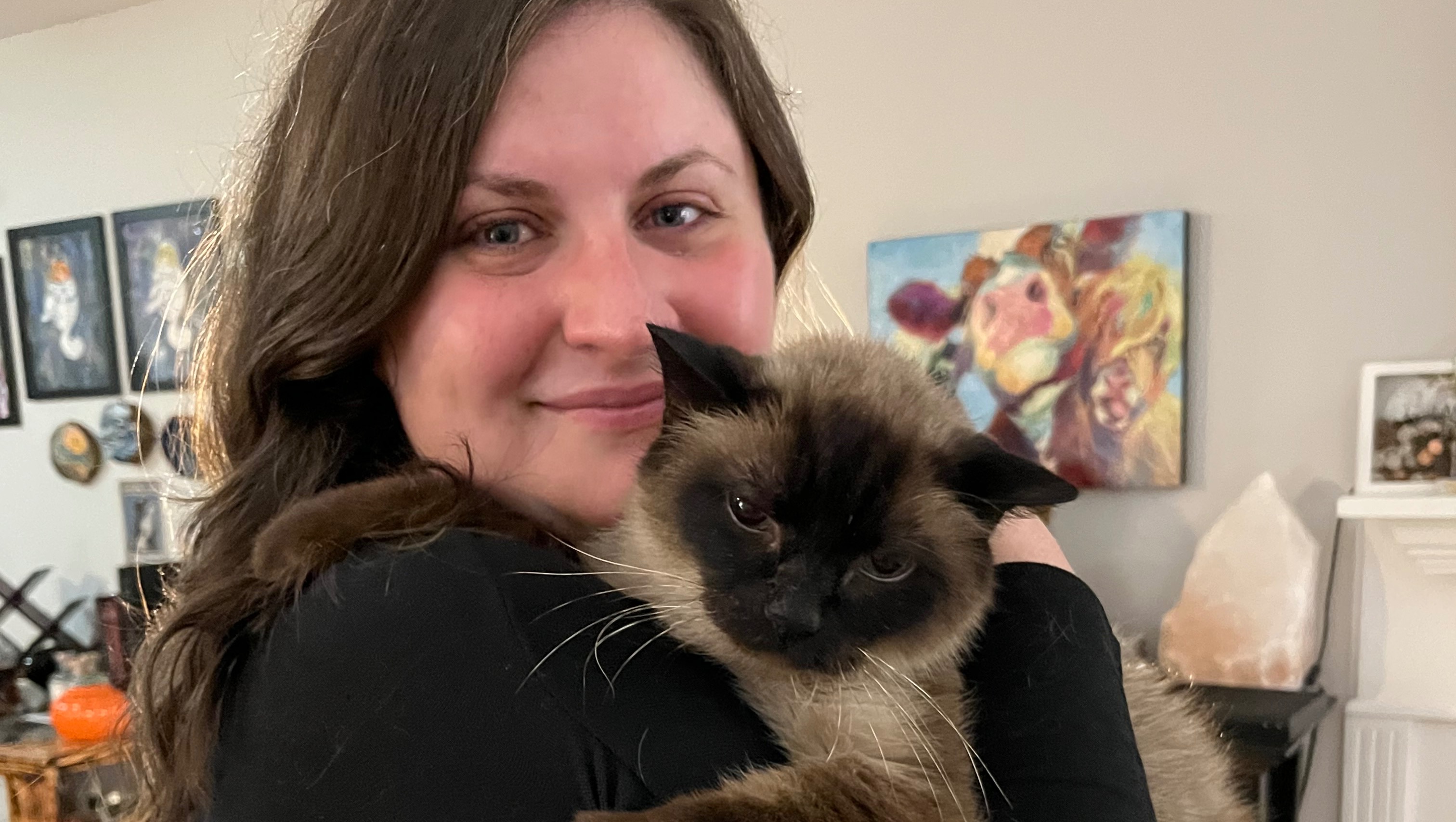 Paige Cat Photo